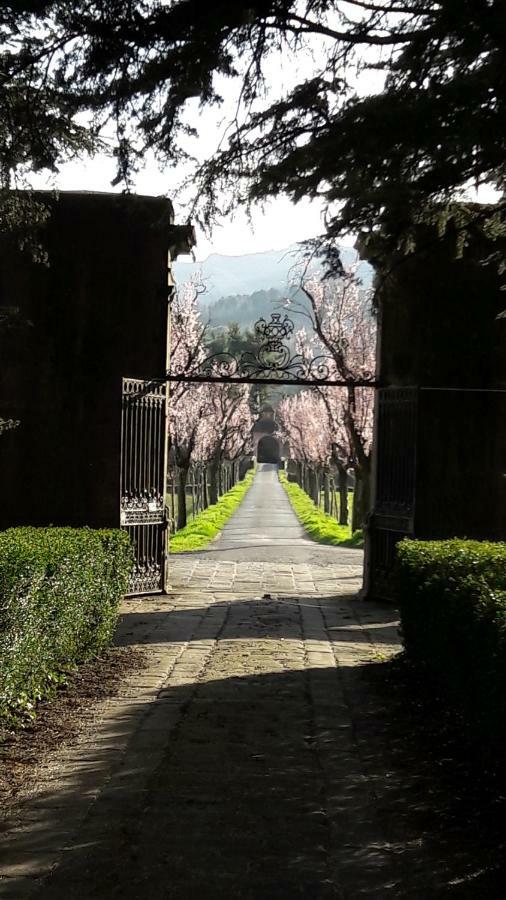 艾乔司住宿加早餐旅馆 蓬特雷莫利 外观 照片